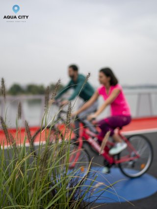 The Benefits of Owning an Aqua City